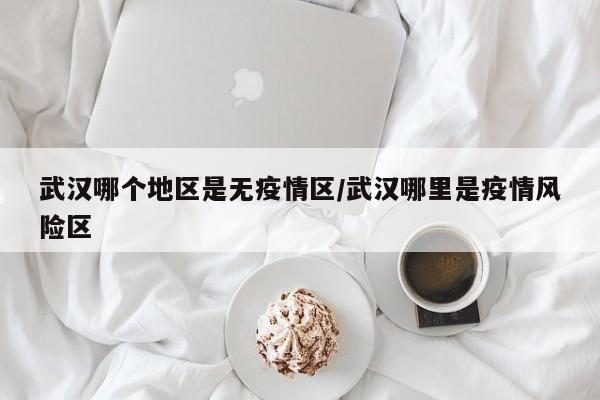 武汉哪个地区是无疫情区/武汉哪里是疫情风险区