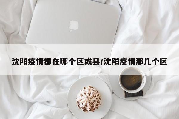 沈阳疫情都在哪个区或县/沈阳疫情那几个区