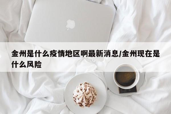 金州是什么疫情地区啊最新消息/金州现在是什么风险